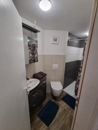 a bathroom with a toilet and a sink and a shower at Schöne Wohnung im Zentrum von Ahnatal in Weimar