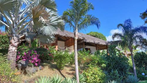 a house with palm trees in front of it at Manga Soa Lodge in Fascène - Befefika
