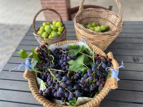 two baskets of grapes and apples on a table at Villa Vittoria in Matera