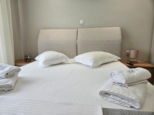 Agora luxury Flat 2