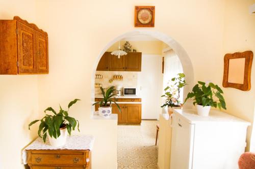 a kitchen with two potted plants on a table at Margo Apartman in Fonyód
