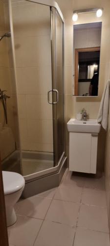 Koupelna v ubytování city center apartment