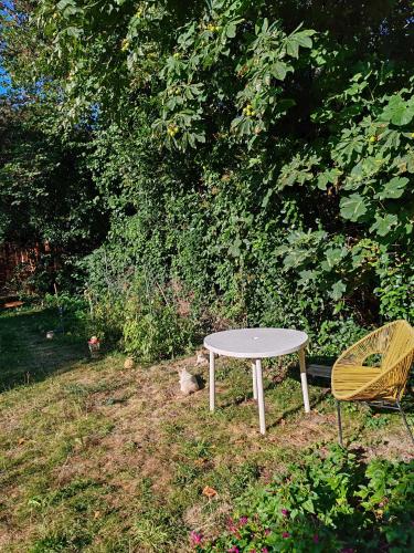 une table et une chaise dans le jardin dans l'établissement Or rose 02, à Toulouse