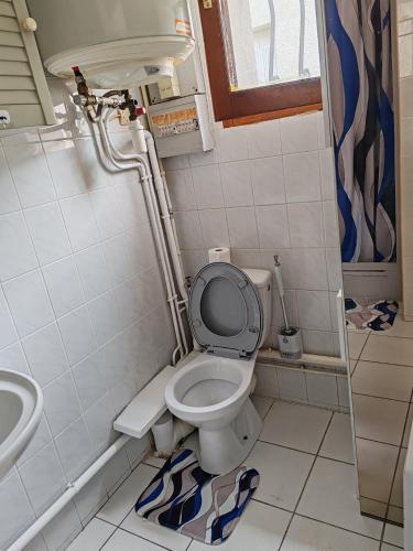 une salle de bain avec toilettes et lavabo dans l'établissement Or rose 02, à Toulouse