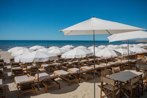 a bunch of chairs and umbrellas on the beach at Hôtel La Plage 5 étoiles La Grande Motte in La Grande-Motte