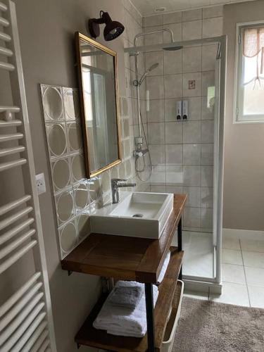 a bathroom with a sink and a shower at Petite maison de charme à Thury in Thury