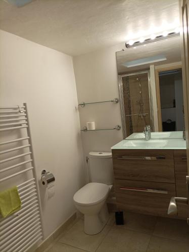 une salle de bain avec toilettes, lavabo et miroir dans l'établissement Un Coin Paradis ds Campagne 12 hect PISCINE privée, à Méounes-lès-Montrieux