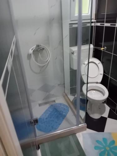 Koupelna v ubytování Apartman,,Siv,, Prijevor
