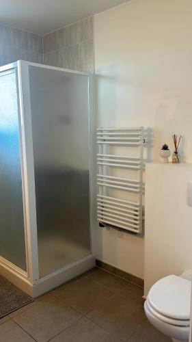 une salle de bain avec douche et toilettes dans l'établissement Charmant Studio proche de Genève, à Saint-Julien-en-Genevois