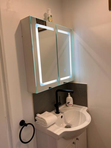 a bathroom with a sink and a mirror at Le Spa est dans le Pré in Triguères