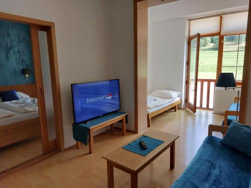TV a/nebo společenská místnost v ubytování Hotel Gold