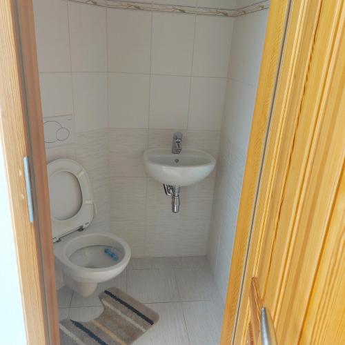 a bathroom with a toilet and a sink at Gut Sonnenhof in Žatec