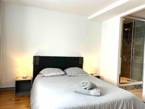 une chambre avec un lit avec deux serviettes dessus dans l'établissement Hyper Centre Charmant T2 idéalement situé, à Vienne