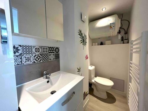 une salle de bain avec un lavabo et des toilettes dans l'établissement Hyper Centre Charmant T2 idéalement situé, à Vienne