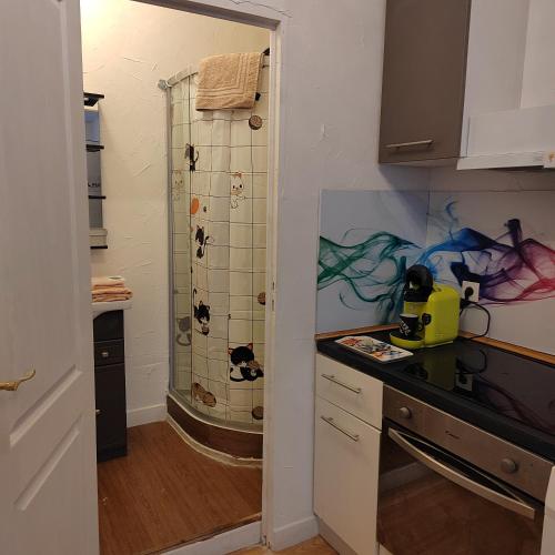 - une cuisine avec une douche et un comptoir dans l'établissement Studio plein centre, à Auch