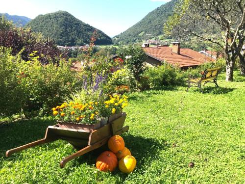 a wooden bench with a basket of pumpkins and flowers at Apartma Savan in Tolmin