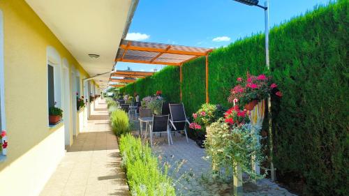 Cozy Room with garden in Bratislava