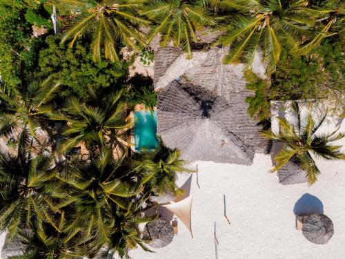 an overhead view of a beach with palm trees at Swahili Palace Zanzibar in Pwani Mchangani