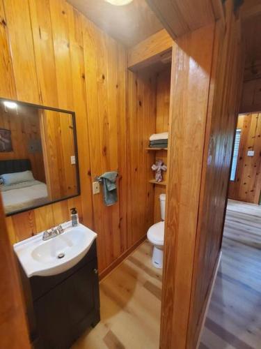 a bathroom with a sink and a toilet at 109 Vinewood Cabin-1 Bedroom in Brewton