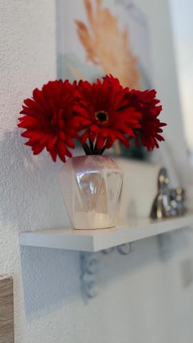 two red flowers in a vase on a shelf at WIZARD APARTMENT in Žabljak