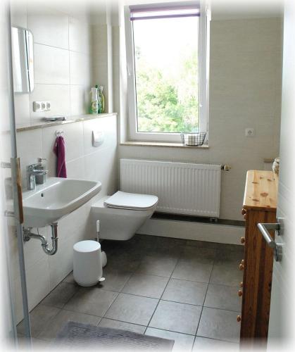 a bathroom with a toilet and a sink and a window at Ferienwohnungen am Safrangarten in Altenburg