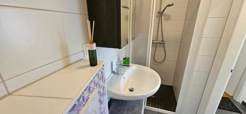 a bathroom with a sink and a shower at KB Apartment #2 in Zeltweg