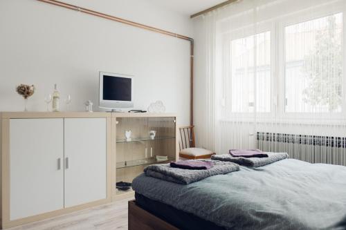 Postel nebo postele na pokoji v ubytování Apartman Marija Ilok