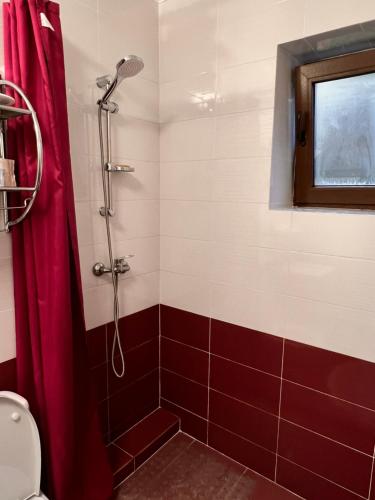 a bathroom with a shower with a red shower curtain at Garden Residence Ipotesti in Ipoteşti