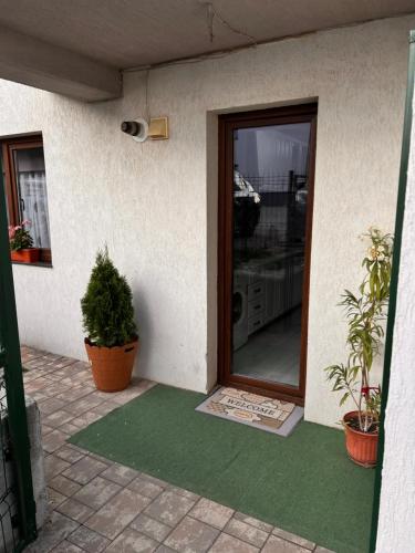 a front door of a house with potted plants at Garden Residence Ipotesti in Ipoteşti