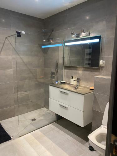une salle de bain avec une douche, un lavabo et des toilettes dans l'établissement Charmant Loft Moderne à 10min de la Grande Plage, à Biarritz