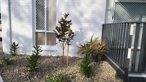 a garden with plants in front of a house at Husky 19 Beautifully Appointed Apartments - GREAT LOCATION - in the heart of Husky in Huskisson