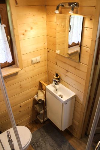 a small bathroom with a toilet and a sink at Chałupka pod Brzyzkiem in Ząb