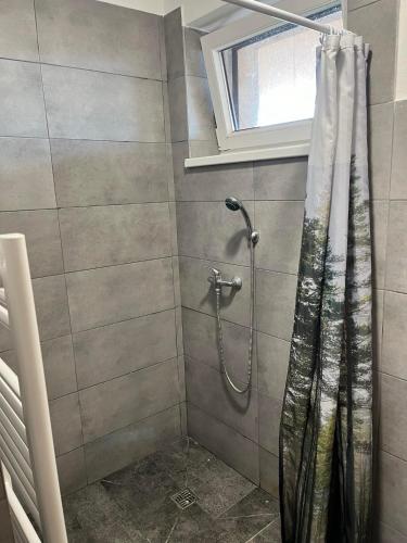 a shower with a shower curtain in a bathroom at Penzion Baffi in Topoľníky