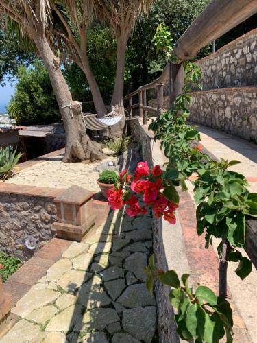 a bunch of red flowers on a stone pathway at Casa Blu in Anacapri