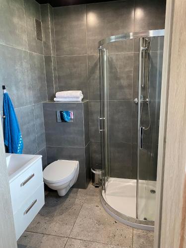 a bathroom with a shower and a toilet and a sink at Double House MAGI in Kowary