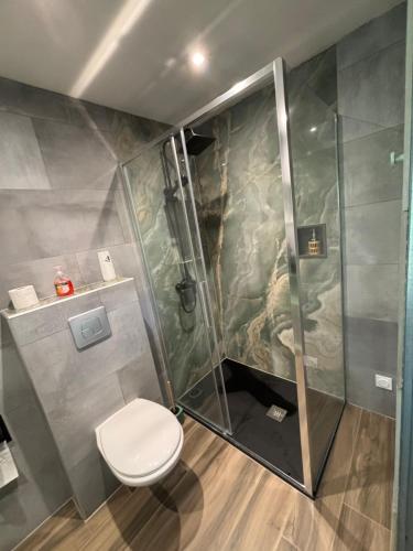 a bathroom with a shower and a toilet at La villa Émeraude in Nernier