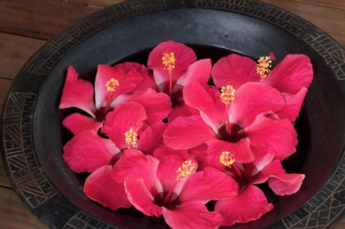 a bunch of pink flowers in a black bowl at Octopus Resort in Nalauwaki