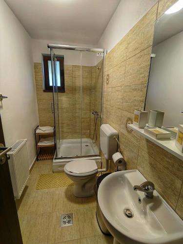 a bathroom with a toilet and a shower and a sink at Pensiunea Pastravaria Vistisoara in Vistisoara