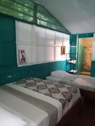 two beds in a room with a green wall at Amazona un pequeño mundo de corcobado serca del oceano in Puerto Jiménez