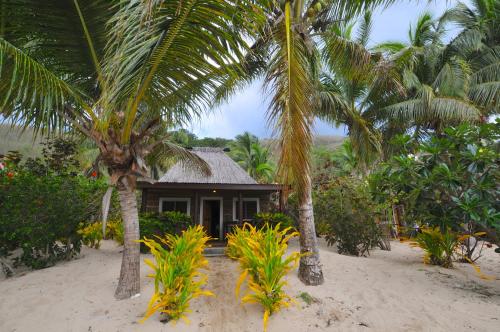 a small house on the beach between two palm trees at Octopus Resort in Nalauwaki