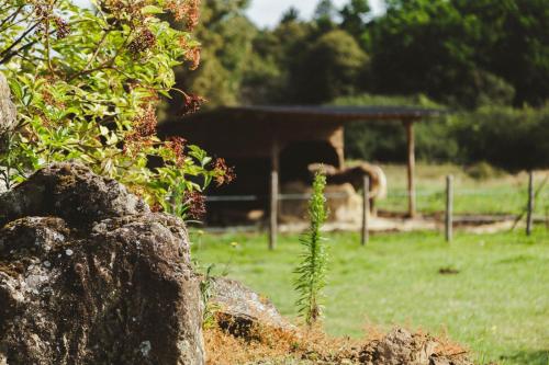 Chambre Lucile, nuit au calme en pleine nature