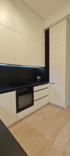 Η κουζίνα ή μικρή κουζίνα στο Apartamentai Viktorija