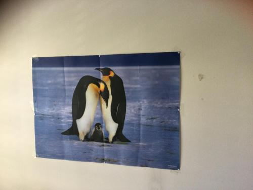 Gambar di galeri bagi Chambre spacieuse et confortable avec écran plat di Oetwil an der Limmat