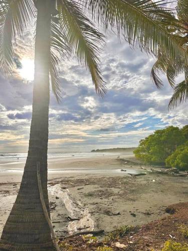a palm tree on a beach with the ocean at Pacific Ocean Penthouse Suite in Playa Azul