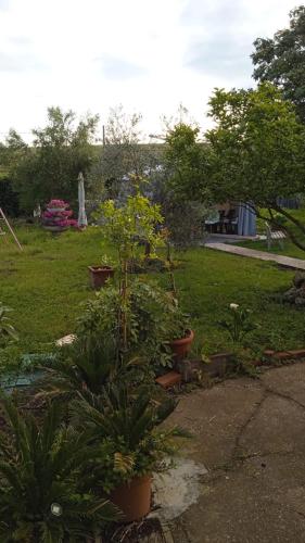 Zahrada ubytování Casina Maria