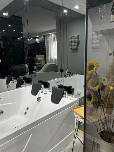 a bathroom with a white sink and a mirror at Love spa apartman in Banja Koviljača