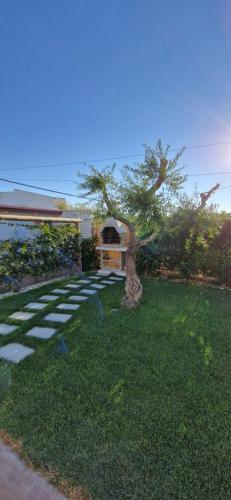 a house with a tree in the middle of a yard at Casa Valerio in Conversano
