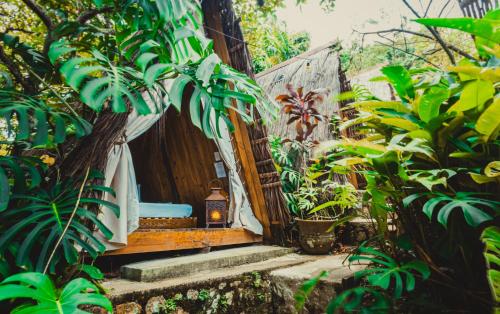 a doorway to a house with a bunch of plants at Hostel Da Vila Ilhabela in Ilhabela