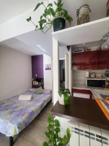 une chambre avec un lit et une cuisine dans l'établissement Appartement studio bord de mer, au Cap d'Agde