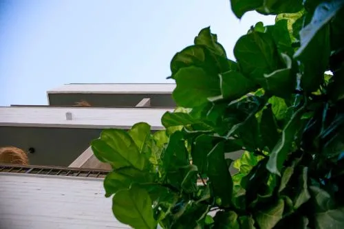 Casa Lyrata Comfort & Design photo 56